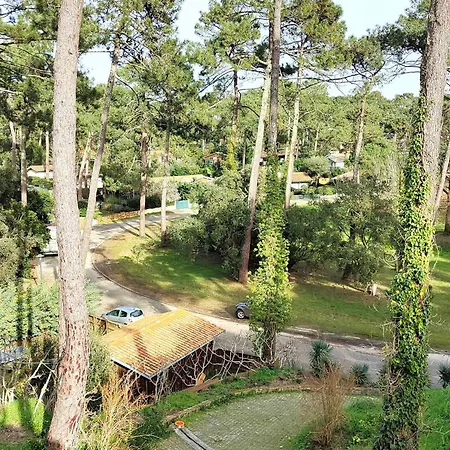 Spacieuse Familiale Avec Terrasses A 500m Du Bassin - Fr-1-736-21